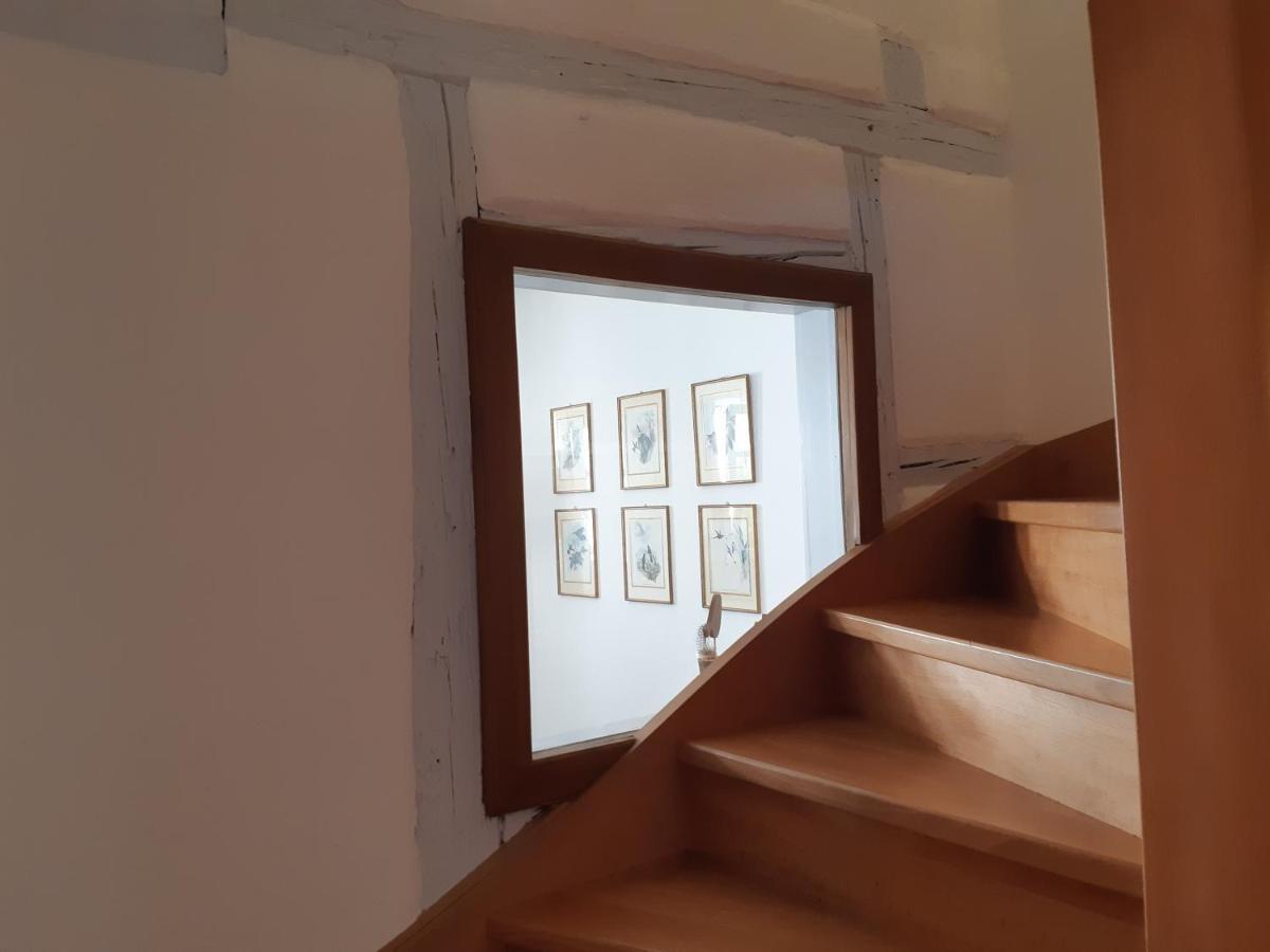 Appartement Margot - Hyper Centre
